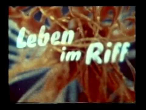 Rupert Riedl - Leben im Riff (1951)