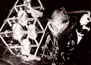 1951 Thyrrenia Expedition Lichtraster