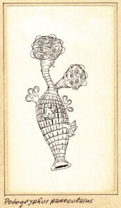 Ppantonotur Agastrifer